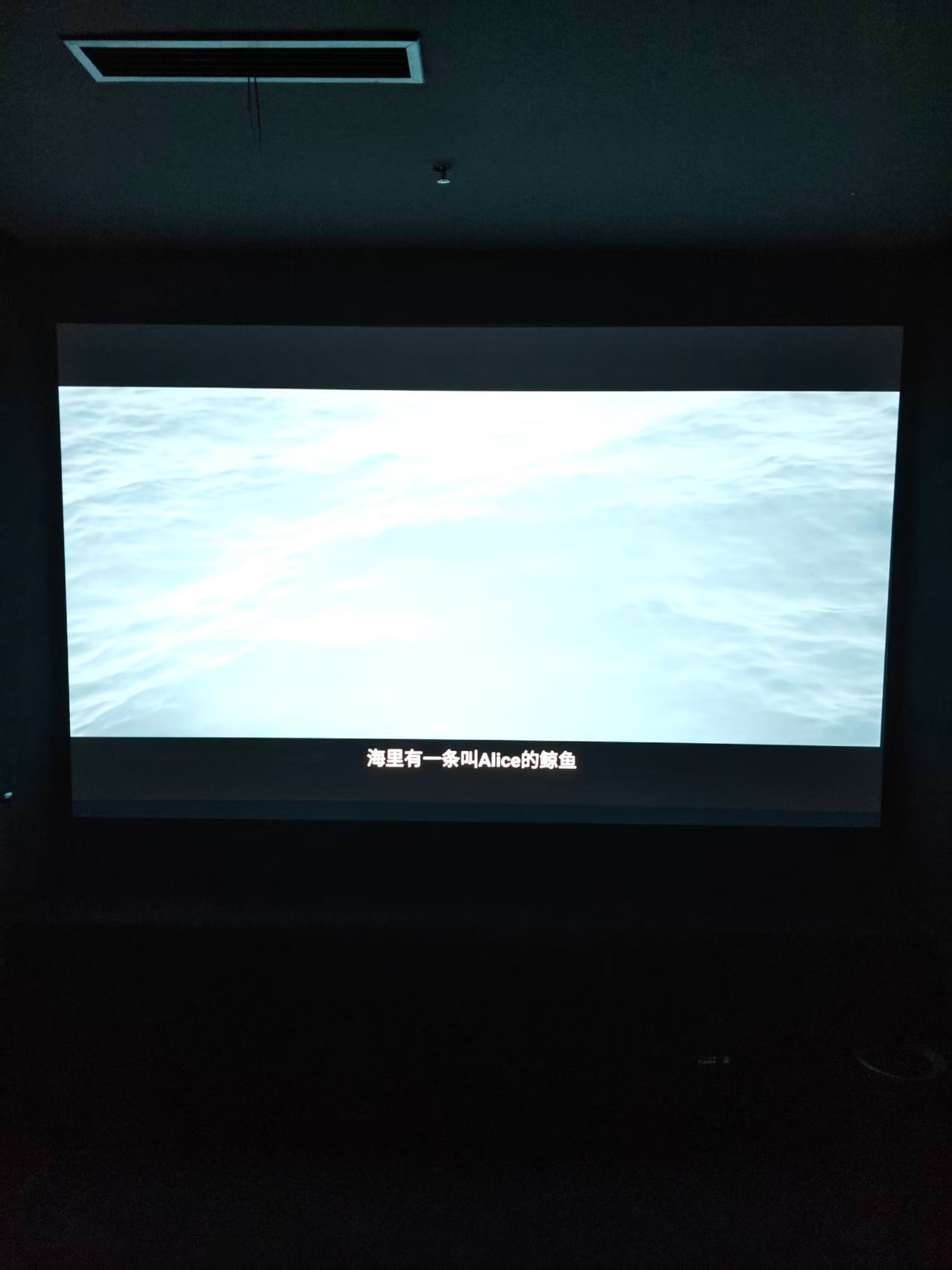 陪安东尼度过的浪漫岁月